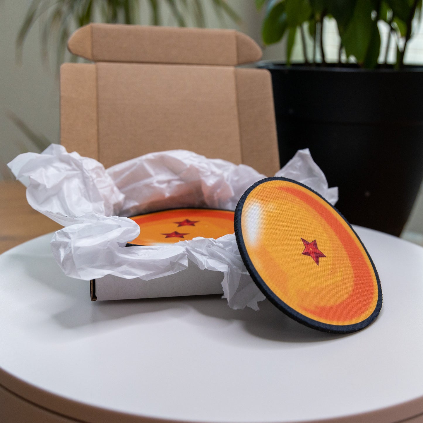 Dragon Ball Coaster Set