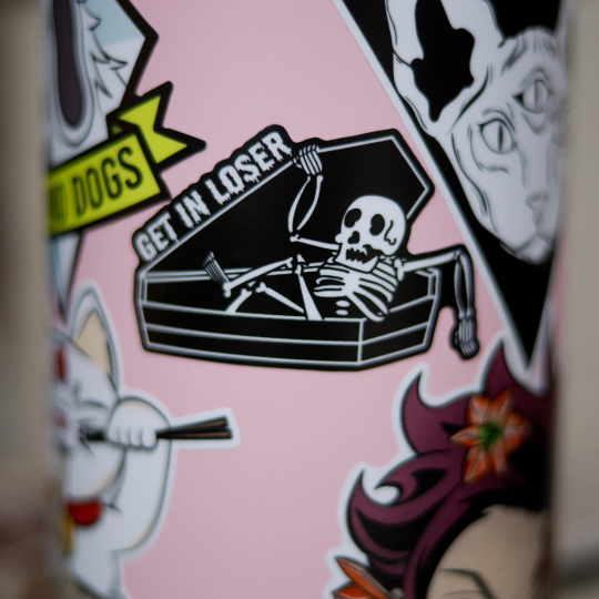 Get In Loser Vinyl Stickers